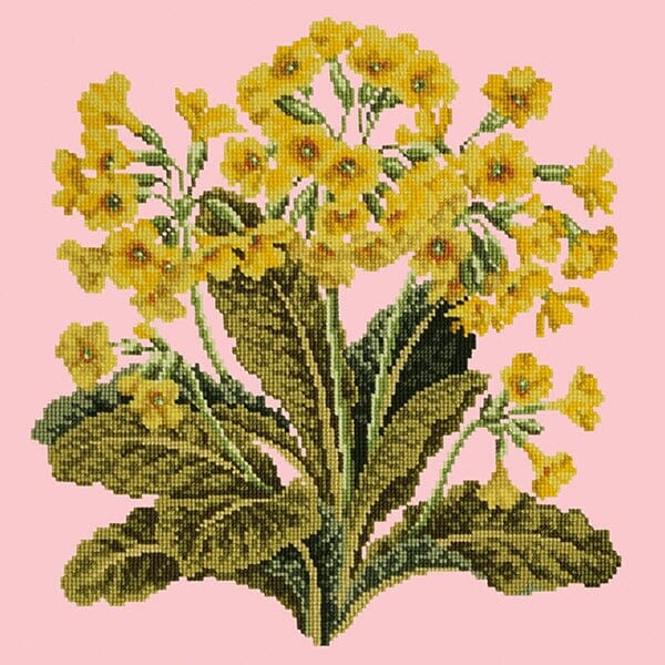 Cowslip Kits Elizabeth Bradley Design Pale Rose