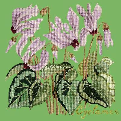 Cyclamen Needlepoint Kit Kits Elizabeth Bradley Design Grass Green