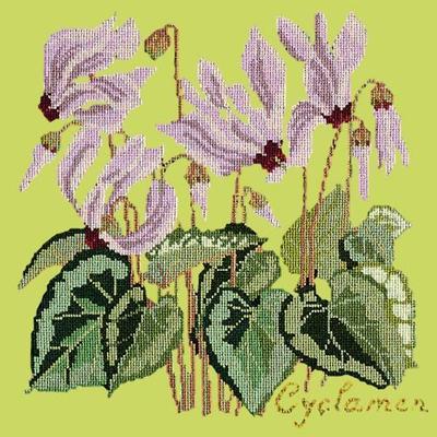 Cyclamen Needlepoint Kit Kits Elizabeth Bradley Design Pale Lime