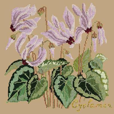 Cyclamen Needlepoint Kit Kits Elizabeth Bradley Design Sand