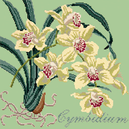 Cymbidium Needlepoint Kit Kits Elizabeth Bradley Design Pale Green