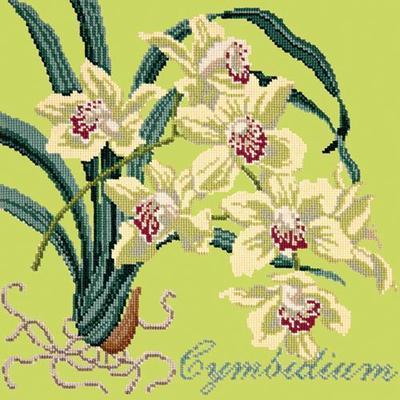 Cymbidium Needlepoint Kit Kits Elizabeth Bradley Design Pale Lime
