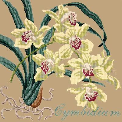 Cymbidium Needlepoint Kit Kits Elizabeth Bradley Design Sand