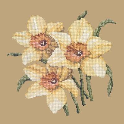 Daffodils Needlepoint Kit Kits Elizabeth Bradley Design Sand