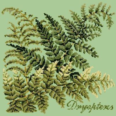 Dryopteris Needlepoint Kit Kits Elizabeth Bradley Design Pale Green 