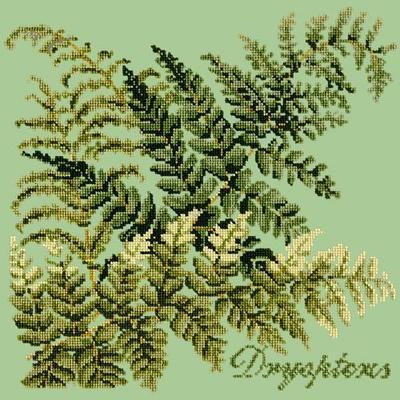 Dryopteris Needlepoint Kit Kits Elizabeth Bradley Design Pale Green