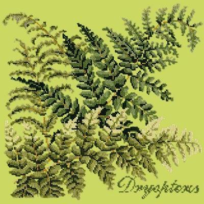 Dryopteris Needlepoint Kit Kits Elizabeth Bradley Design Pale Lime 