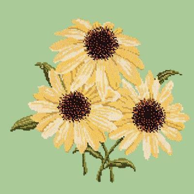 Echinaceas Needlepoint Kit Kits Elizabeth Bradley Design Pale Green