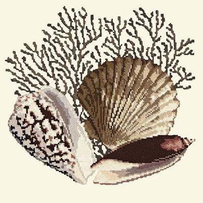Fan Coral Needlepoint Kit Kits Elizabeth Bradley Design Winter White