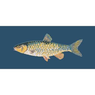 Freshwater Chub Needlepoint Kit Kits Elizabeth Bradley Design Dark Blue