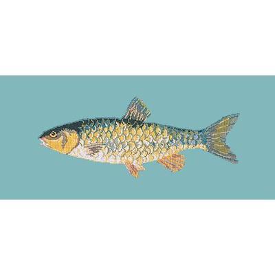 Freshwater Chub Needlepoint Kit Kits Elizabeth Bradley Design Duck Egg Blue