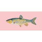 Freshwater Chub Needlepoint Kit Kits Elizabeth Bradley Design Pale Rose 