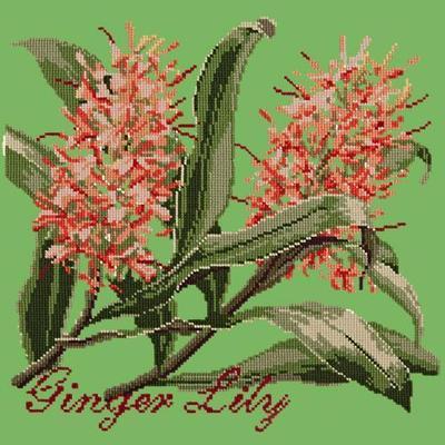 Ginger Lily Needlepoint Kit Kits Elizabeth Bradley Design Grass Green