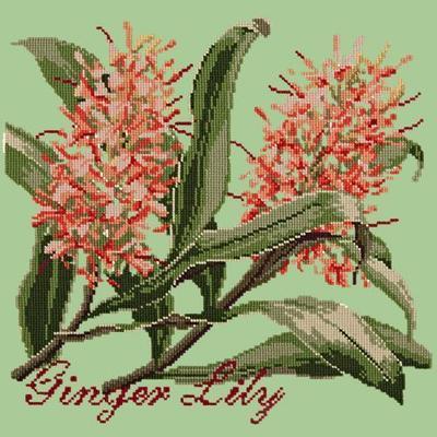Ginger Lily Needlepoint Kit Kits Elizabeth Bradley Design Pale Green