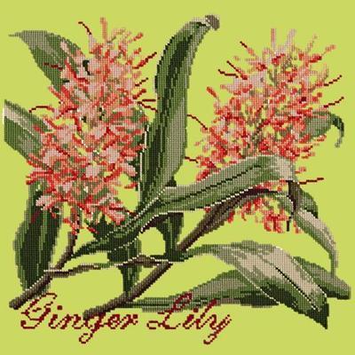 Ginger Lily Needlepoint Kit Kits Elizabeth Bradley Design Pale Lime