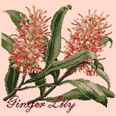 Ginger Lily Needlepoint Kit Kits Elizabeth Bradley Design Salmon Pink
