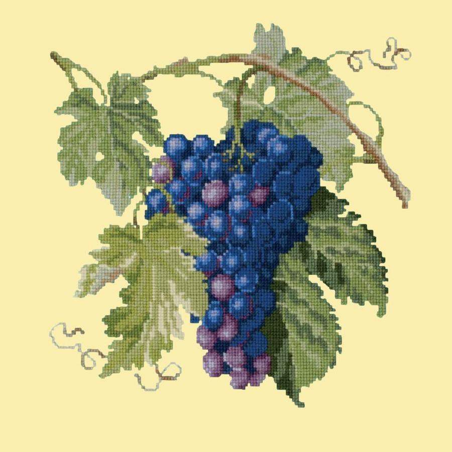 Grapes Needlepoint Kit Kits Elizabeth Bradley Design Butter Yellow - 3