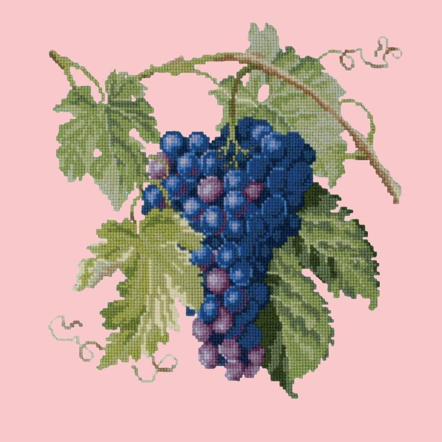 Grapes Needlepoint Kit Kits Elizabeth Bradley Design Pale Rose - 16