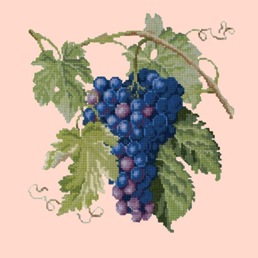 Grapes Needlepoint Kit Kits Elizabeth Bradley Design Salmon Pink - 17