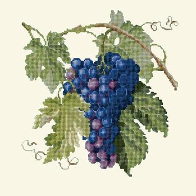Grapes Needlepoint Kit Kits Elizabeth Bradley Design Winter White - 12