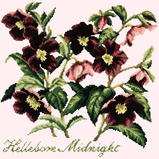 Hellebore Midnight Needlepoint Kit Kits Elizabeth Bradley Design Cream 