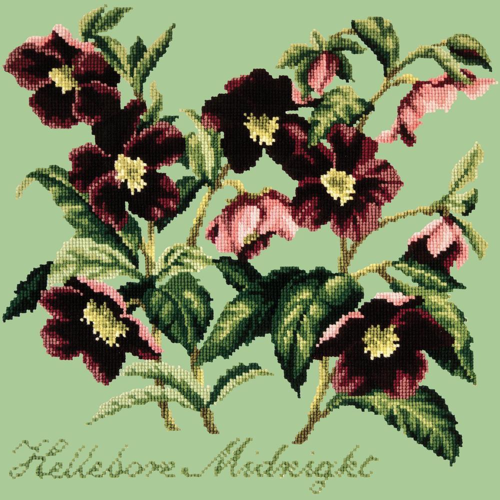 Hellebore Midnight Needlepoint Kit Kits Elizabeth Bradley Design Pale Green