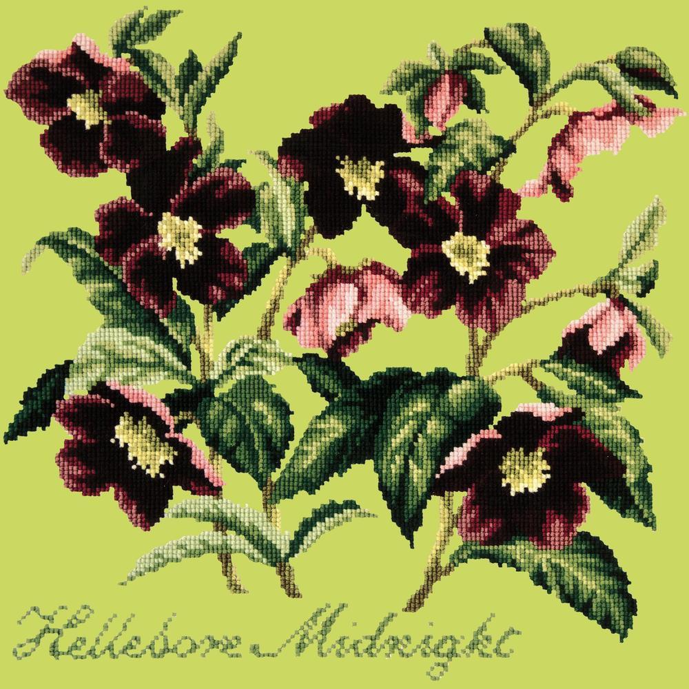 Hellebore Midnight Needlepoint Kit Kits Elizabeth Bradley Design Pale Lime