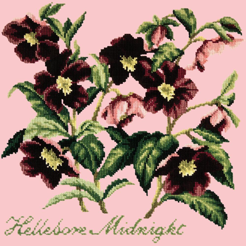 Hellebore Midnight Needlepoint Kit Kits Elizabeth Bradley Design Pale Rose