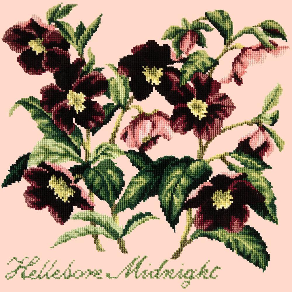 Hellebore Midnight Needlepoint Kit Kits Elizabeth Bradley Design Salmon Pink