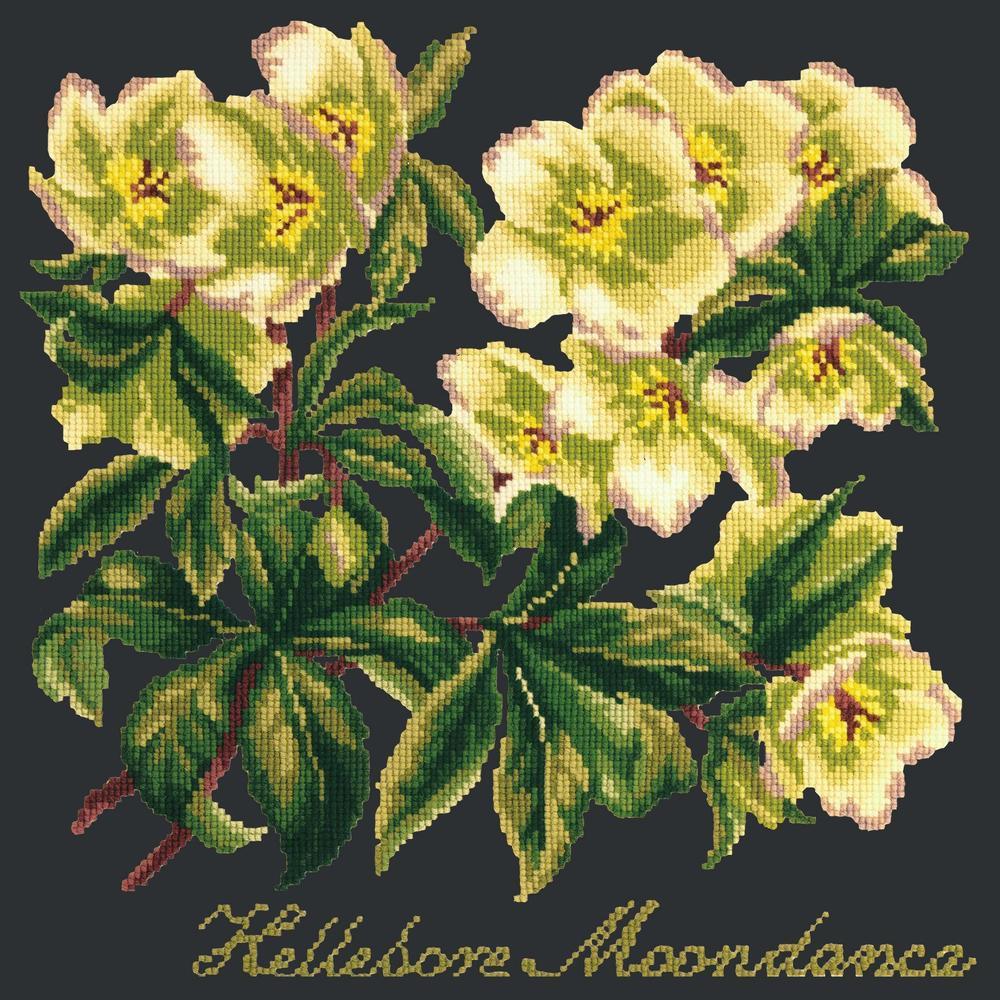 Hellebore Moondance Needlepoint Kit Kits Elizabeth Bradley Design Black
