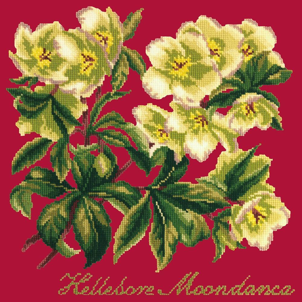 Hellebore Moondance Needlepoint Kit Kits Elizabeth Bradley Design Bright Red