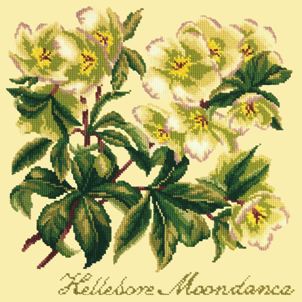 Hellebore Moondance Needlepoint Kit Kits Elizabeth Bradley Design Butter Yellow