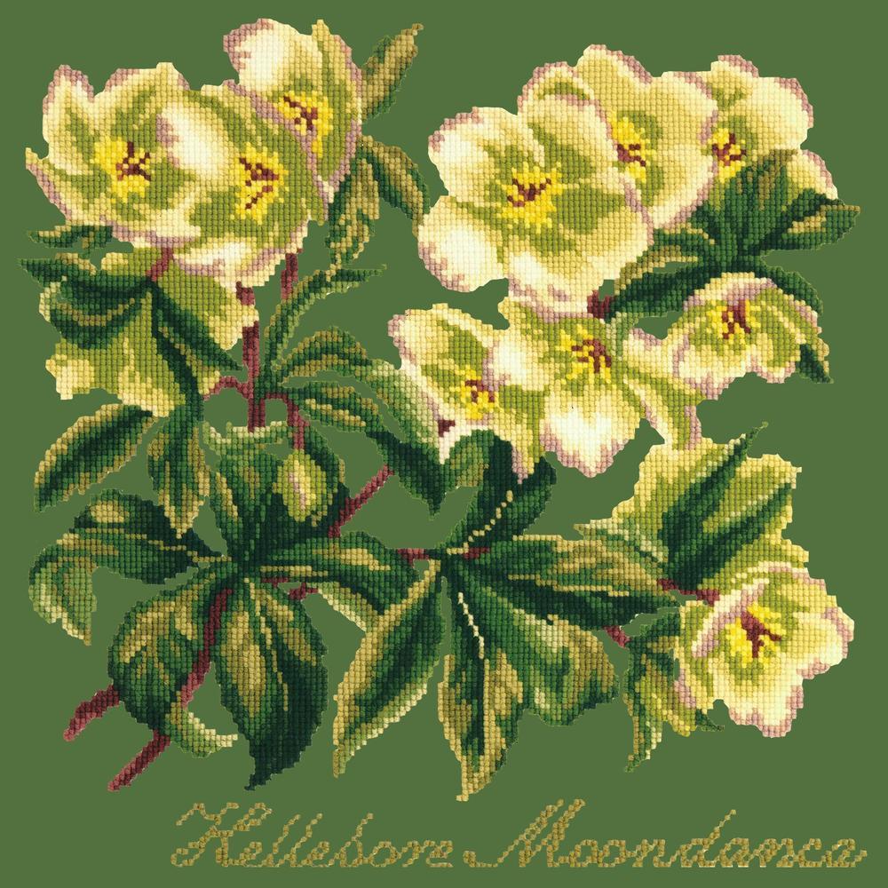 Hellebore Moondance Needlepoint Kit Kits Elizabeth Bradley Design Dark Green