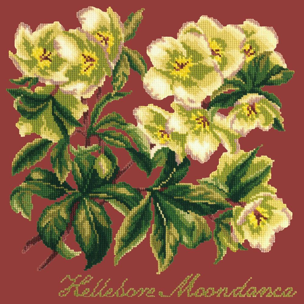 Hellebore Moondance Needlepoint Kit Kits Elizabeth Bradley Design Dark Red