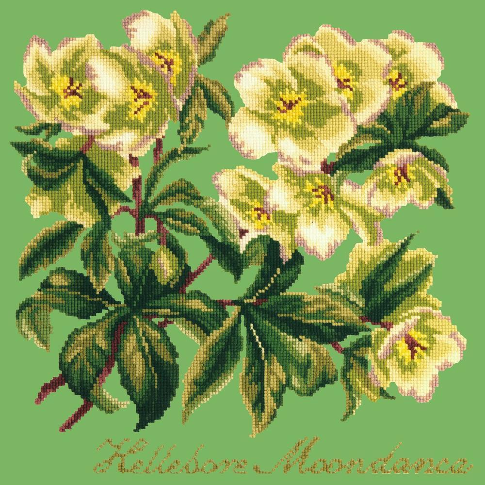 Hellebore Moondance Needlepoint Kit Kits Elizabeth Bradley Design Grass Green