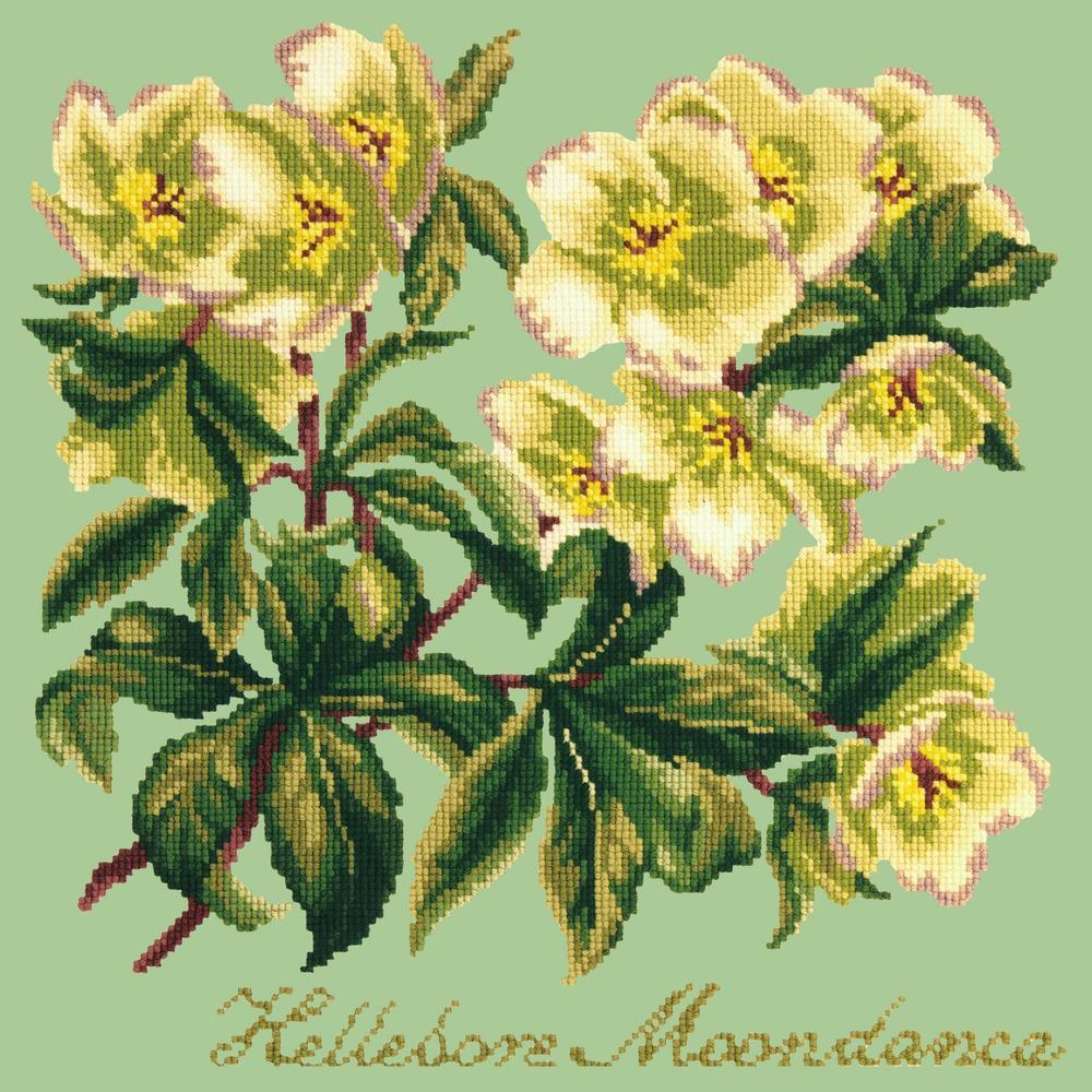 Hellebore Moondance Needlepoint Kit Kits Elizabeth Bradley Design Pale Green