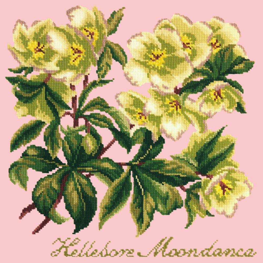 Hellebore Moondance Needlepoint Kit Kits Elizabeth Bradley Design Pale Rose