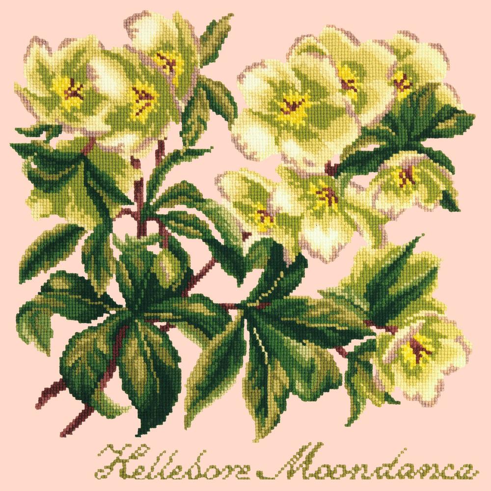 Hellebore Moondance Needlepoint Kit Kits Elizabeth Bradley Design Salmon Pink