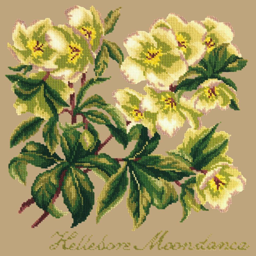 Hellebore Moondance Needlepoint Kit Kits Elizabeth Bradley Design Sand
