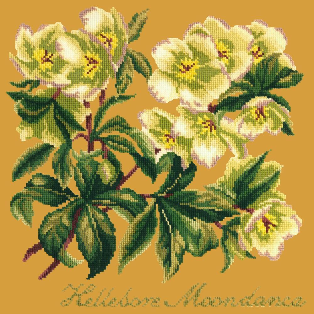 Hellebore Moondance Needlepoint Kit Kits Elizabeth Bradley Design Yellow