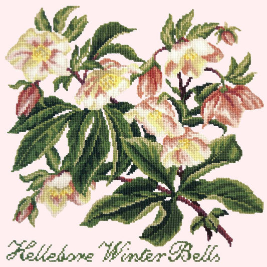 Hellebore Winter Bells Needlepoint Kit Kits Elizabeth Bradley Design Cream 