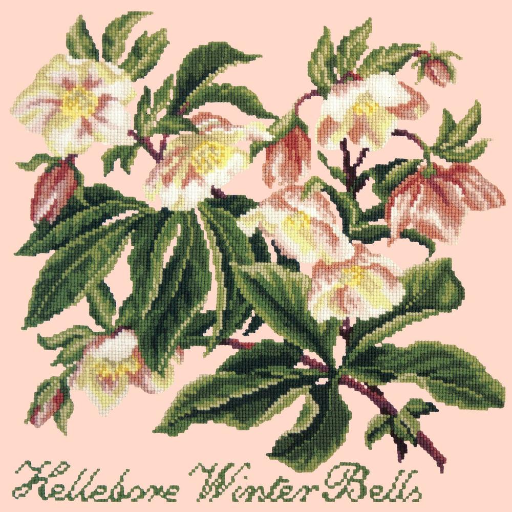 Hellebore Winter Bells Needlepoint Kit Kits Elizabeth Bradley Design Salmon Pink