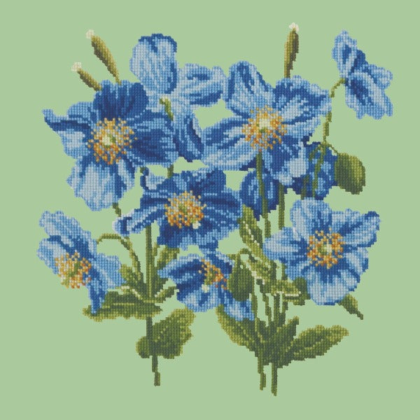 Himalayan Poppy Kits Elizabeth Bradley Design Pale Green
