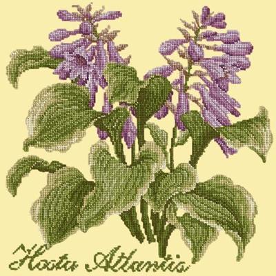 Hosta Atlantis Needlepoint Kit Kits Elizabeth Bradley Design Butter Yellow