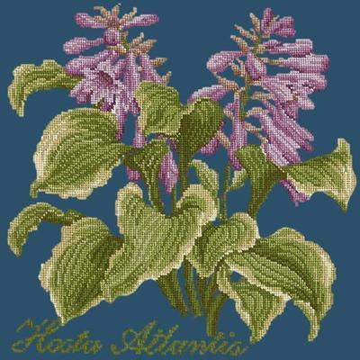Hosta Atlantis Needlepoint Kit Kits Elizabeth Bradley Design Dark Blue