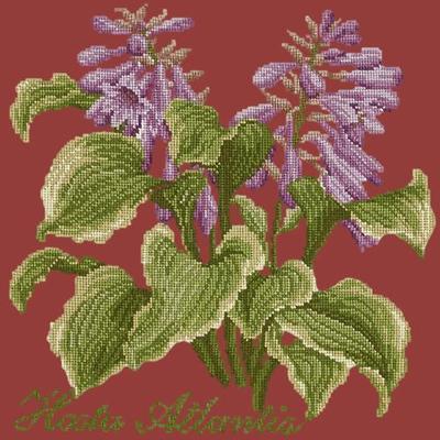 Hosta Atlantis Needlepoint Kit Kits Elizabeth Bradley Design Dark Red