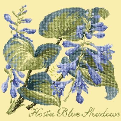 Hosta Blue Shadows Needlepoint Kit Kits Elizabeth Bradley Design Butter Yellow