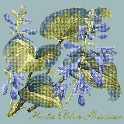 Hosta Blue Shadows Needlepoint Kit Kits Elizabeth Bradley Design Pale Blue