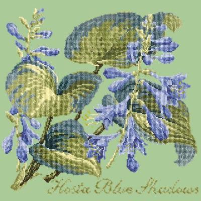 Hosta Blue Shadows Needlepoint Kit Kits Elizabeth Bradley Design Pale Green 