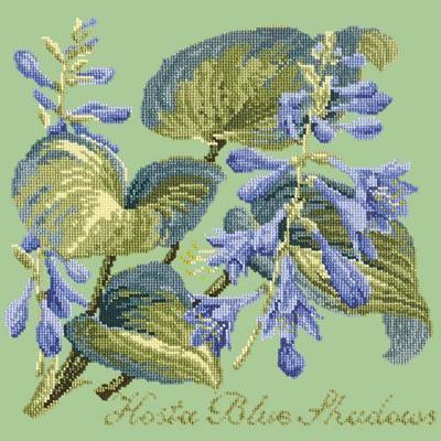 Hosta Blue Shadows Needlepoint Kit Kits Elizabeth Bradley Design Pale Green